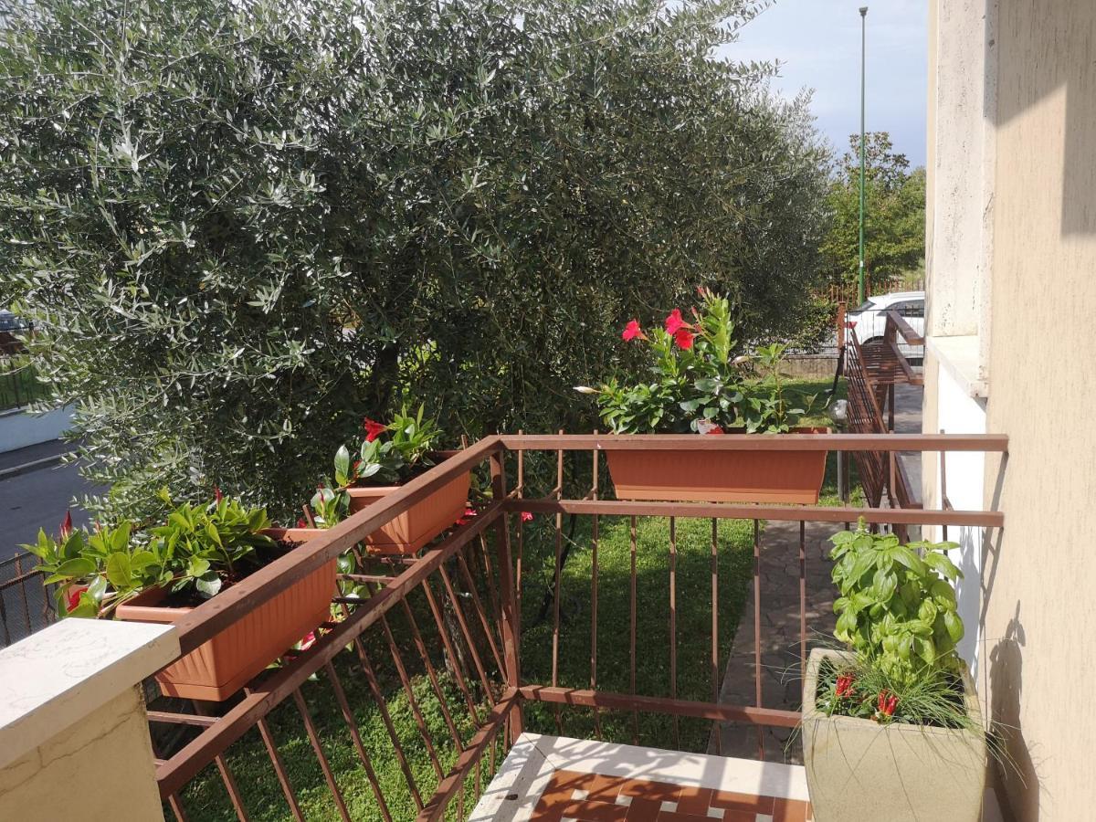 Apartamento Ai Quattro Ulivi Peschiera del Garda Exterior foto