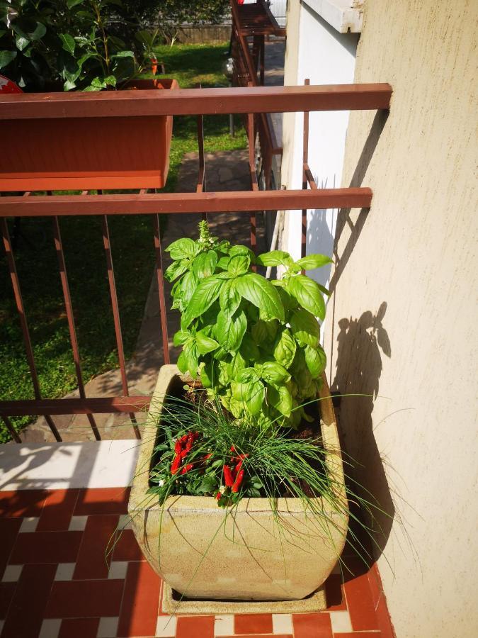 Apartamento Ai Quattro Ulivi Peschiera del Garda Exterior foto