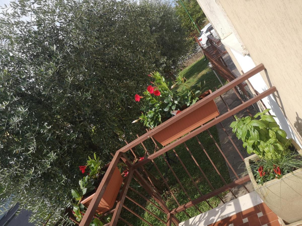 Apartamento Ai Quattro Ulivi Peschiera del Garda Exterior foto