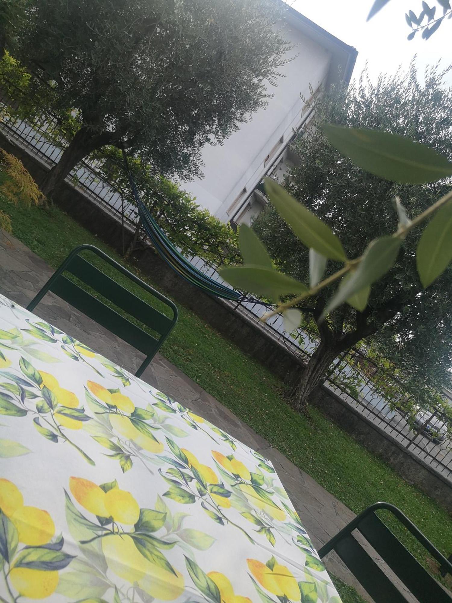 Apartamento Ai Quattro Ulivi Peschiera del Garda Exterior foto
